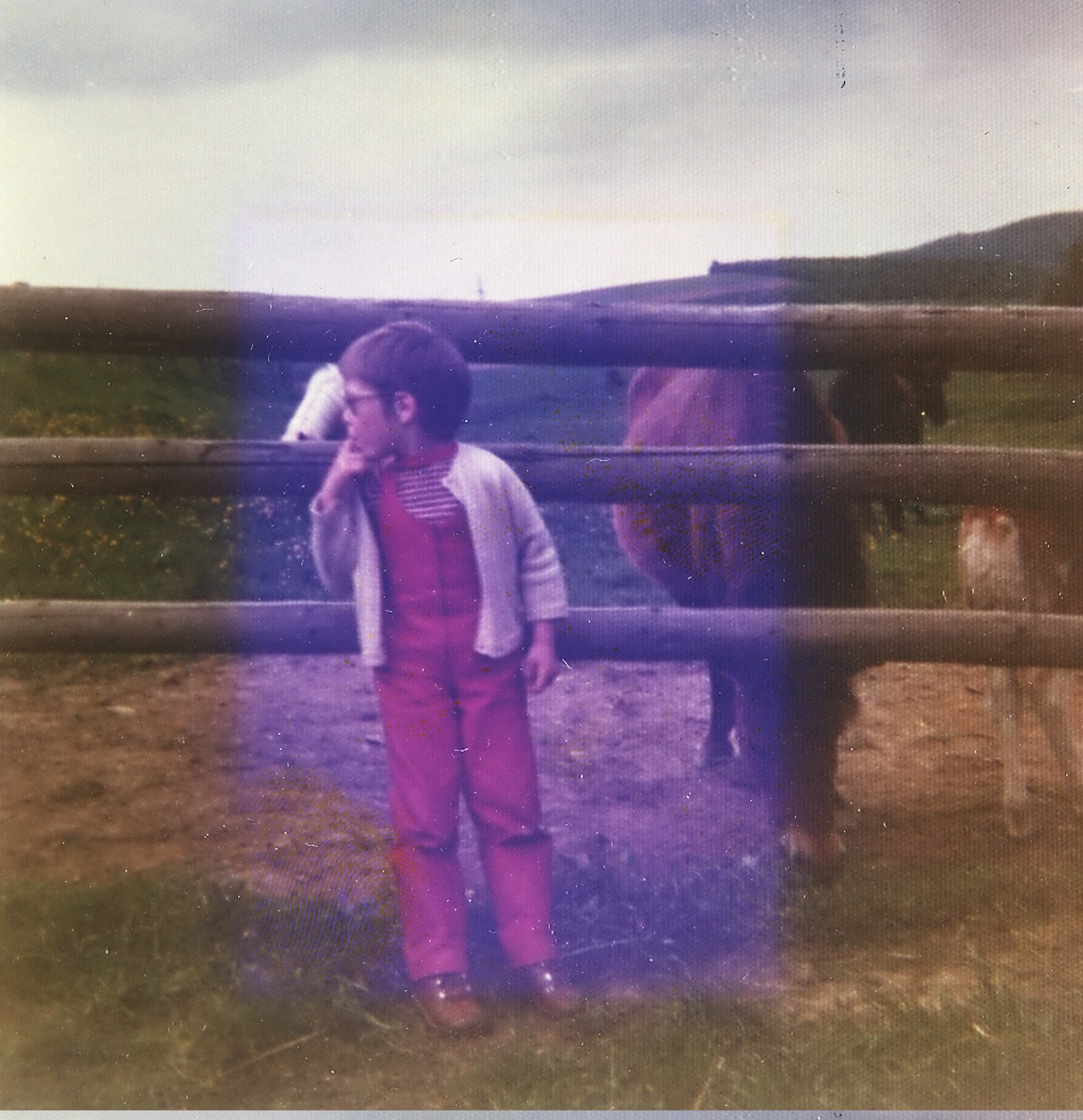 Wohin geht die Reise